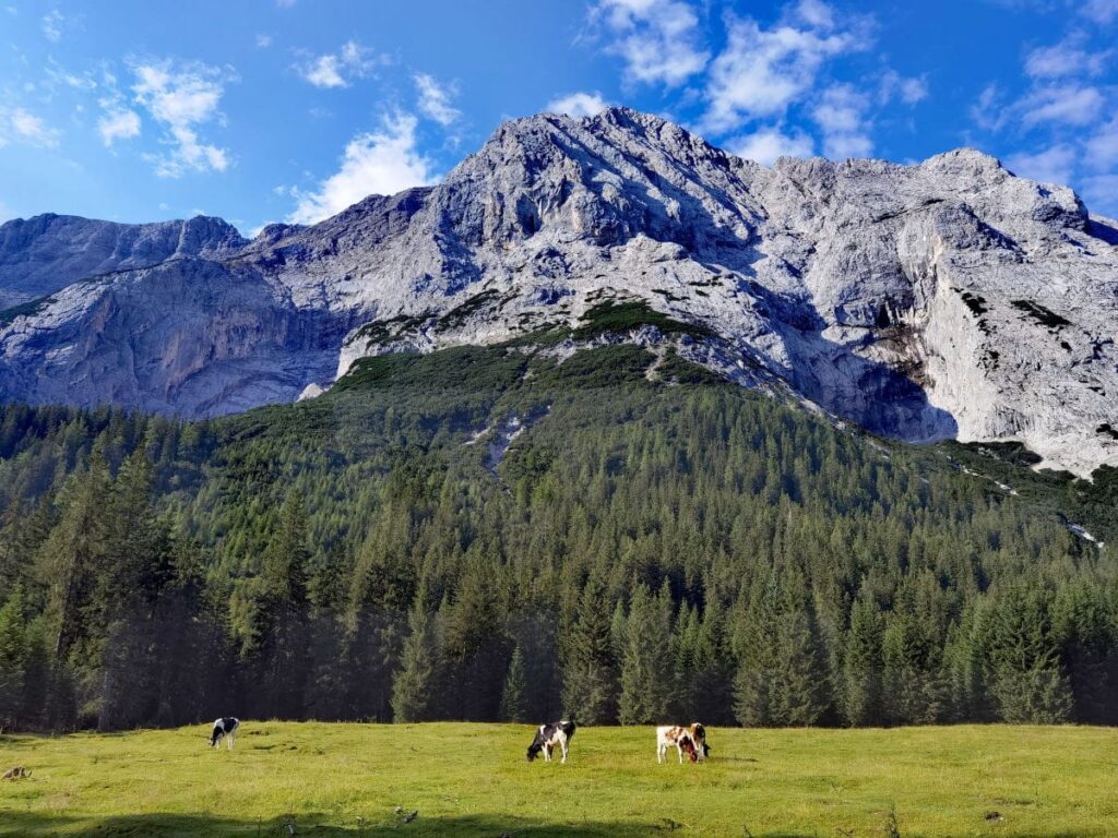 schöne Landschaften