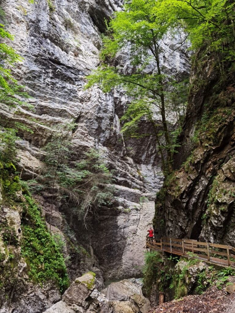 schöne Landschaften