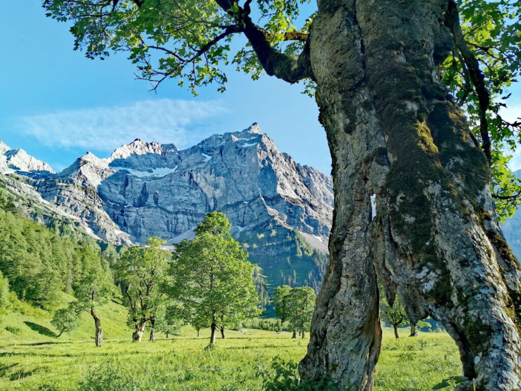 schöne Landschaften in Österreich: Der Ahornboden im Karwendel