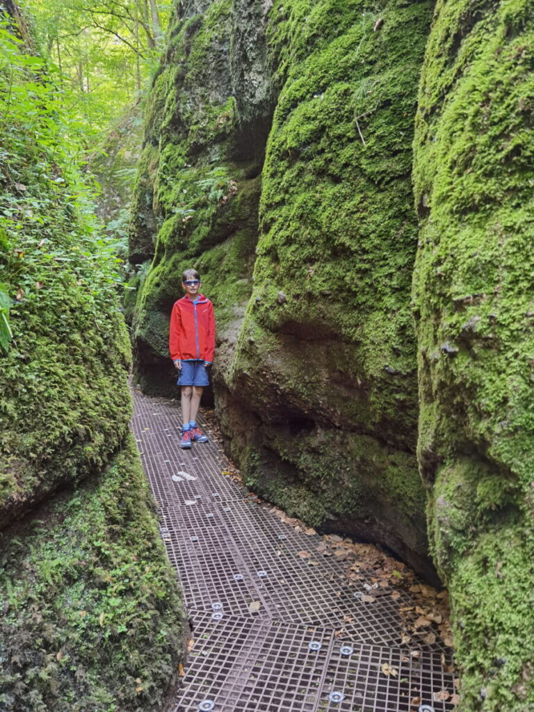 schöne Landschaften Deutschland - die Drachenschlucht im Thüringer Wald